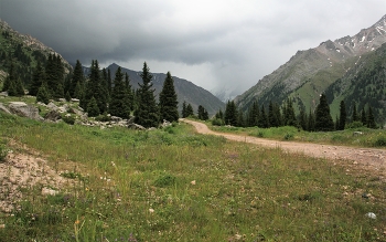 The road to the pass / ***