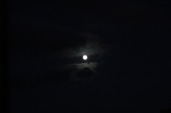moon / ***