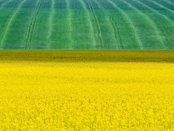 &nbsp; / /\/\/\/\