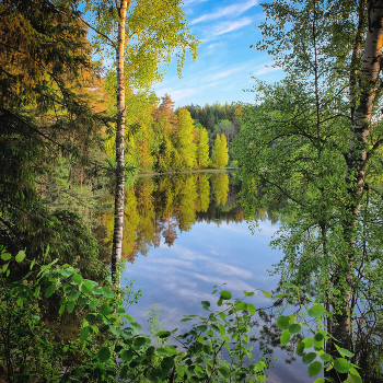 50 shades of green / ***