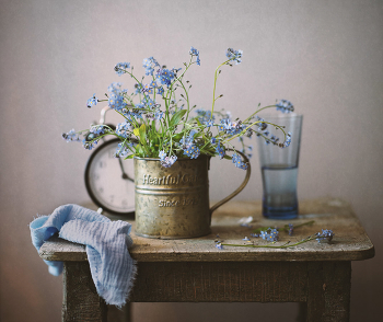 With the forget-me ... / ***