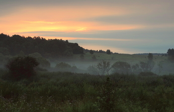 Pride of the morning / ***