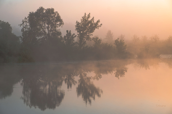 In the fog. / ***