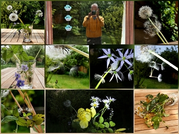 Auf dem Tisch / Eine Idee, drei Wochen lang diese Pusteblumen und andere auf dem Tisch lassen und immer wieder Fotos machen..
Es sind über 100 Fotos geworden