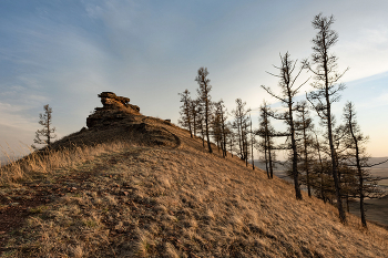 &nbsp; / ***