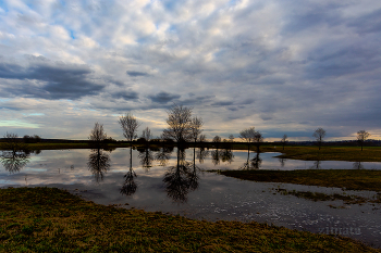 Early Spring / ***
