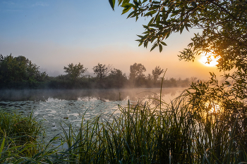 Summer morning. / ***