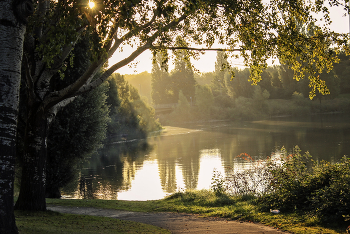 Morning on the lake / ***