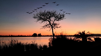 Delta de l'Ebre - posta de sol al Ebre - Baix Ebre / Delta de l'Ebre - posta de sol al Ebre - Baix Ebre