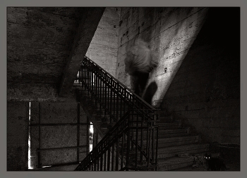 Stranger / ***