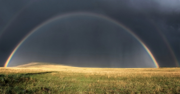 Rainbow / ***