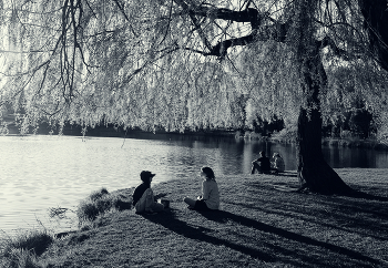 At sunset / ***