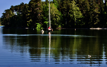 July evening / ***