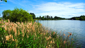 At the lake. / ***