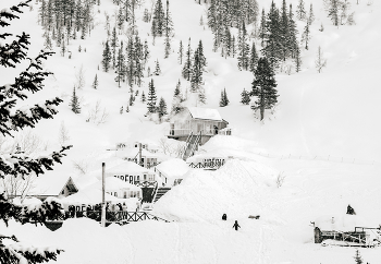 Snow / ***