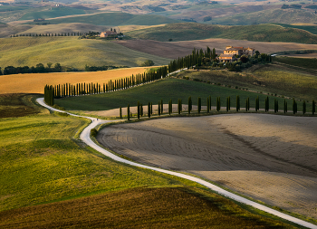 Road / ***