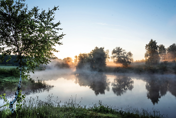 Morning / ***