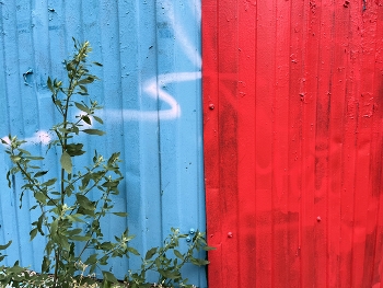 &nbsp; / ***