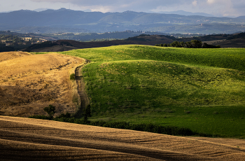 Evening light / ***