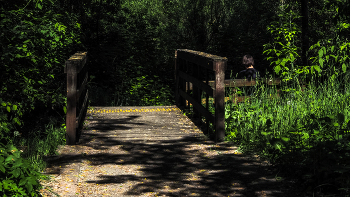 Walking in summer park / ***