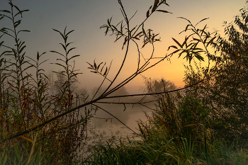 At dawn / ***