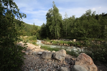 In summer / ***