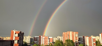 Rainbow / ***