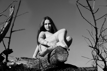 Dasha / ***