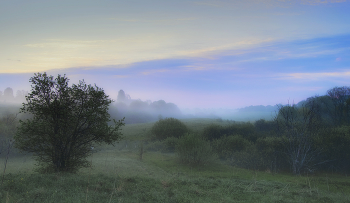 Misty / ***