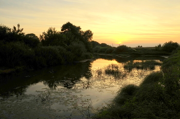 Summer evening. / ***