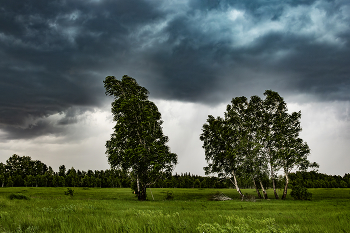 Before the storm / ***