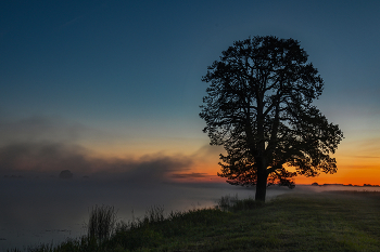 Dawn / ***