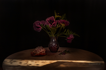 Poppies / ***