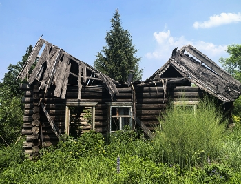 Abandoned house / ***