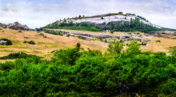 The Settlement / ***