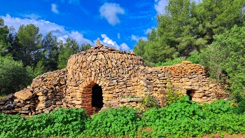 Pla de Santa Maria - La Capona (barraca) - Alt Camp / Pla de Santa Maria - La Capona (barraca) - Alt Camp