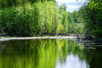 The smell of spring / ***