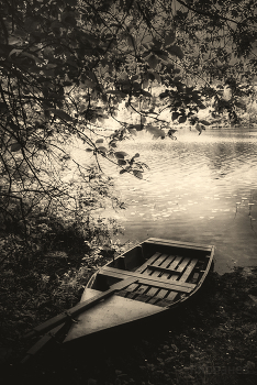 boat / ***