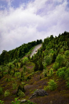road to nowhere / ***