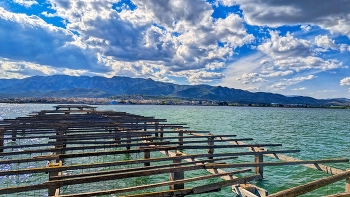 La Ràpita - muscleres - Montsià / La Ràpita - muscleres - Montsià