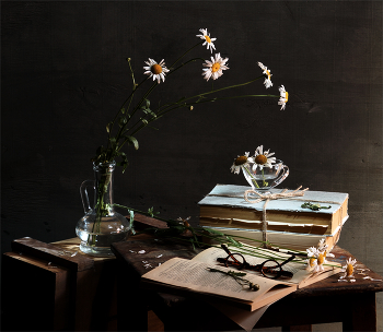 Daisy / ***