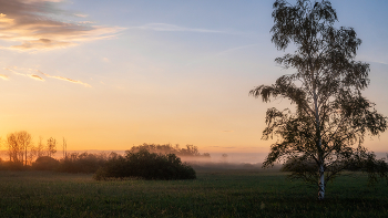 Dawn hour / ***