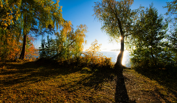 Morning on the lake / ***