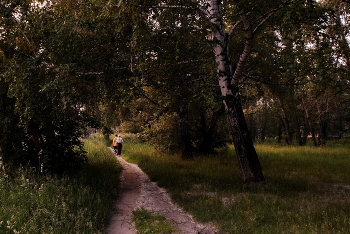 Summer evening. / ***