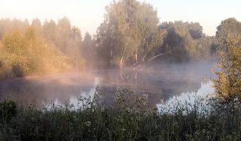 Morning on the lake. / ***