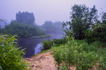 Foggy morning. / ***