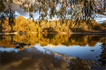 Autumn / ***