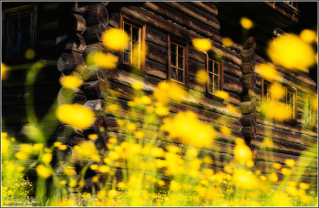 Summer in the village. / ***