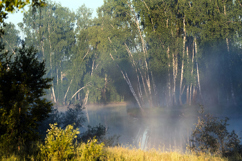 Lake / ***
