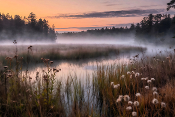 Milk River / ***